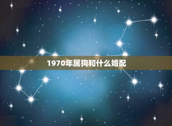 1970年属狗和什么婚配，1970年俩属狗婚配如何