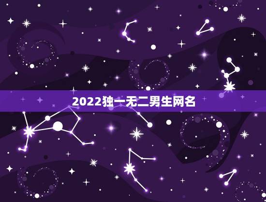 2022独一无二男生网名,独一无二的霸气男网名 2022独一无二男生网名,独一无二的霸气男网名