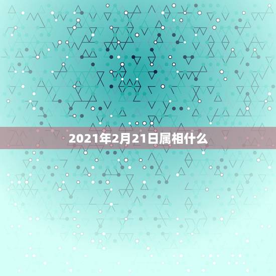 2021年2月21日属相什么,2021年28岁属什么生肖 2021年2月21日属相什么,2021年28岁属什么生肖