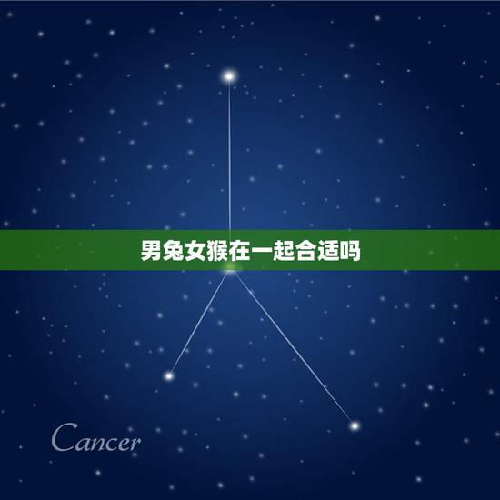 男兔女猴在一起合适吗,男属兔女属猴相配吗 详细? 男兔女猴在一起合适吗,男属兔女属猴相配吗 详细?