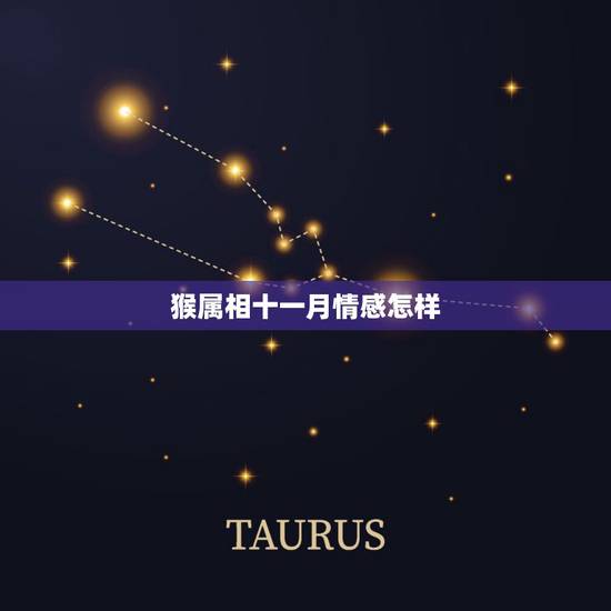 猴属相十一月情感怎样，我和对象的生肖都是属猴、 请问我们今年农历十一月