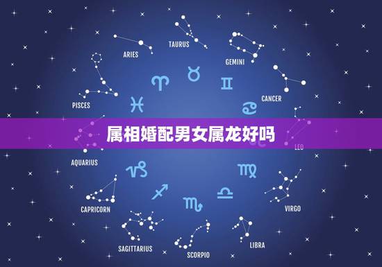 属相婚配男女属龙好吗,属鼠的和什么属相最配 属相婚配男女属龙好吗,属鼠的和什么属相最配