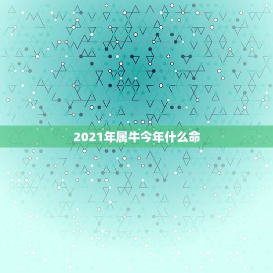 2021年属牛今年什么命，2021年什么命
