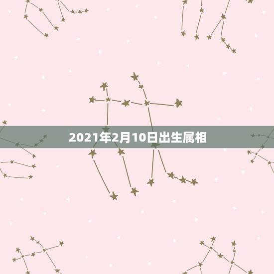 2021年2月10日出生属相,2021属鸡人全年运势 2021年2月10日出生属相,2021属鸡人全年运势