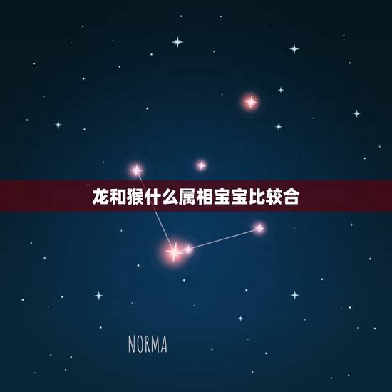 龙和猴什么属相宝宝比较合,属兔属猴的生什么属相的宝宝好 龙和猴什么属相宝宝比较合,属兔属猴的生什么属相的宝宝好