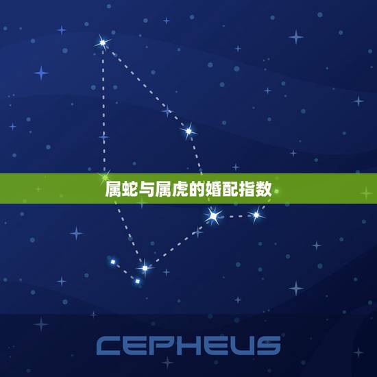 属蛇与属虎的婚配指数,属虎的男和属蛇的女能不能相配 属蛇与属虎的婚配指数,属虎的男和属蛇的女能不能相配