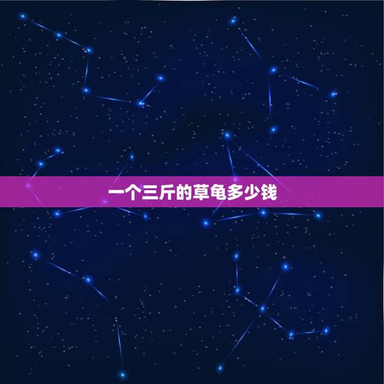 一个三斤的草龟多少钱，一个三斤重的乌龟能值多少钱？
