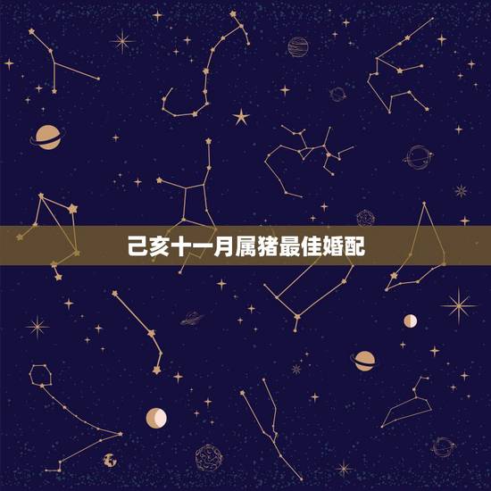 己亥十一月属猪最佳婚配，属猪的和什么属相最配_属猪的和什么属相不配