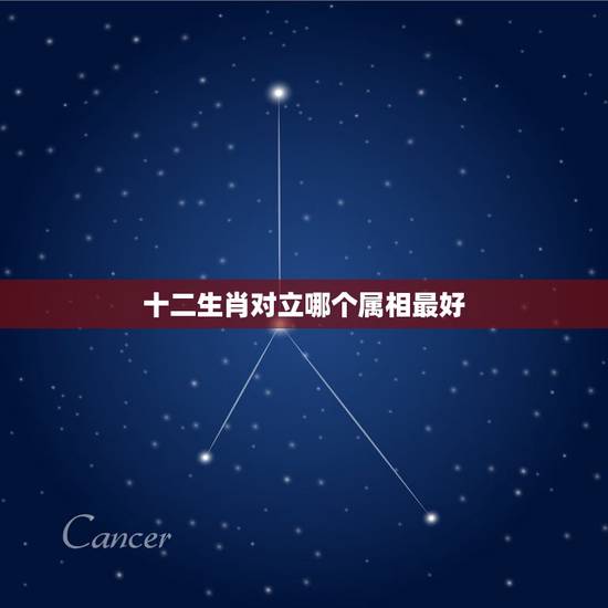 十二生肖对立哪个属相最好，十二生肖中哪个属相最好
