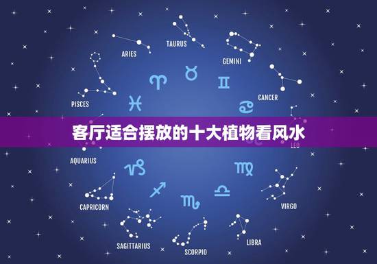 客厅适合摆放的十大植物看风水，客厅摆放什么花好