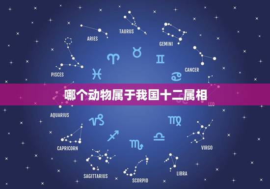 哪个动物属于我国十二属相，生性敏感，见生就怕，可信动物。十二生肖是哪个