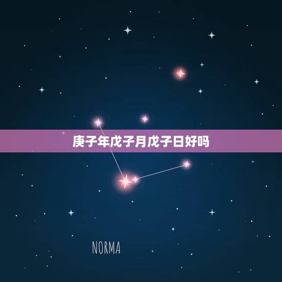 庚子年戊子月戊子日好吗，庚子年庚辰月癸巳日
