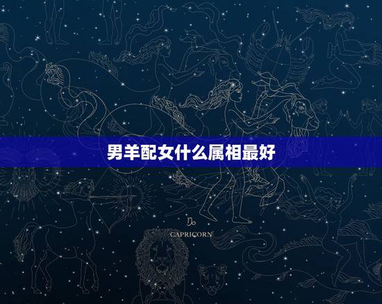 男羊配女什么属相最好，男属羊和什么属相女最和财气