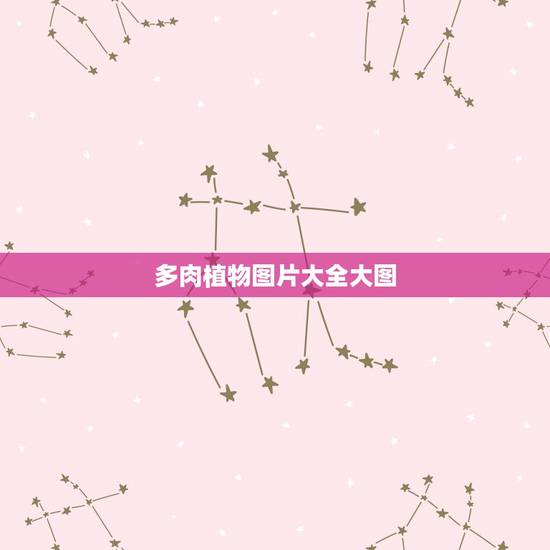 多肉植物图片大全大图,野生多肉植物图片欣赏? 多肉植物图片大全大图,野生多肉植物图片欣赏?