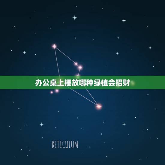 办公桌上摆放哪种绿植会招财，办公室摆放植物风水有哪些禁忌 办公室放什么