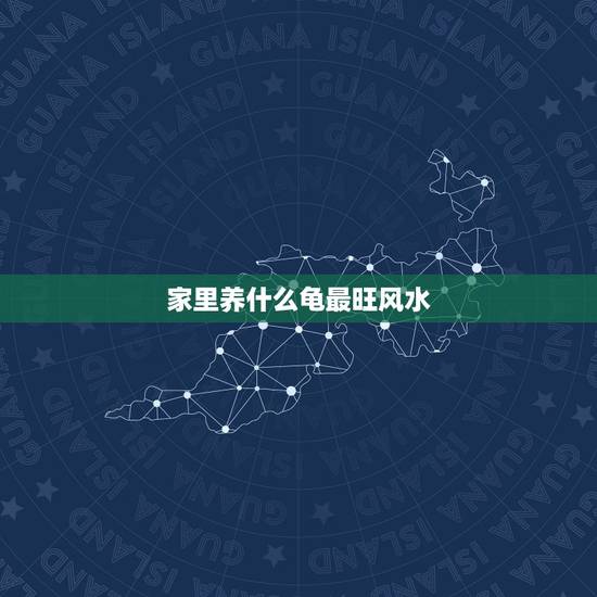 家里养什么龟最旺风水,家里养乌龟有什么讲究? 家里养什么龟最旺风水,家里养乌龟有什么讲究?