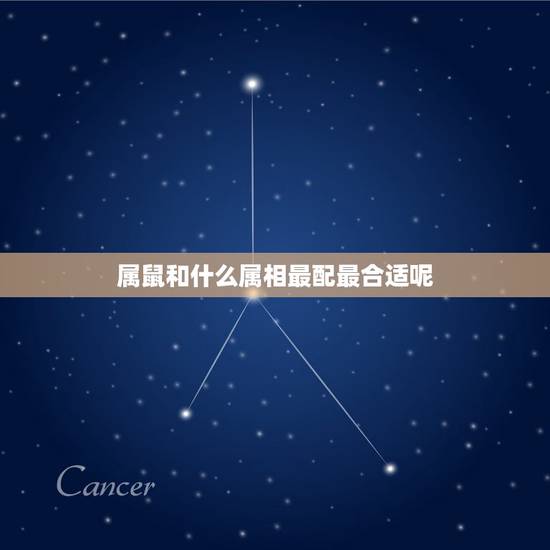 属鼠和什么属相最配最合适呢，属鼠和什么属相相最配