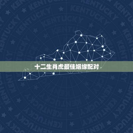 十二生肖虎最佳姻缘配对，属虎的和什么属相最配