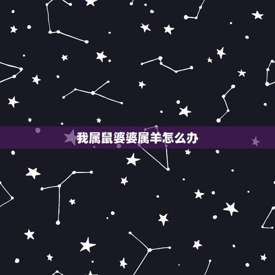 我属鼠婆婆属羊怎么办，91男羊96女鼠聚财吗