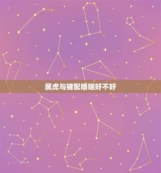 属虎与猪配婚姻好不好，属虎的和属猪的相配吗