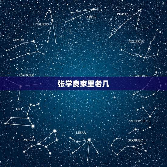 张学良家里老几,张学良的历史故事 张学良家里老几,张学良的历史故事