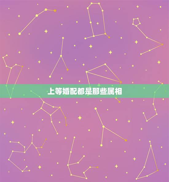 上等婚配都是那些属相，上上等婚配，幸福一生的生肖都有哪些？