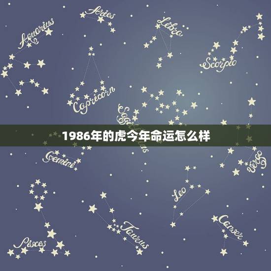 1986年的虎今年命运怎么样,86年属虎男婚姻坎坷 1986年的虎今年命运怎么样,86年属虎男婚姻坎坷