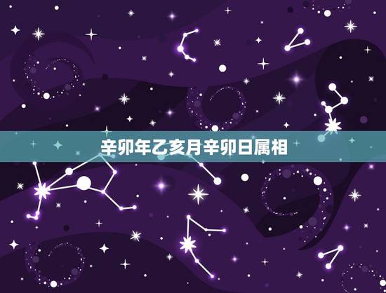 辛卯年乙亥月辛卯日属相,己已年乙亥月辛卯日 男生 帮忙分析下谢谢啊 辛卯年乙亥月辛卯日属相,己已年乙亥月辛卯日 男生 帮忙分析下谢谢啊