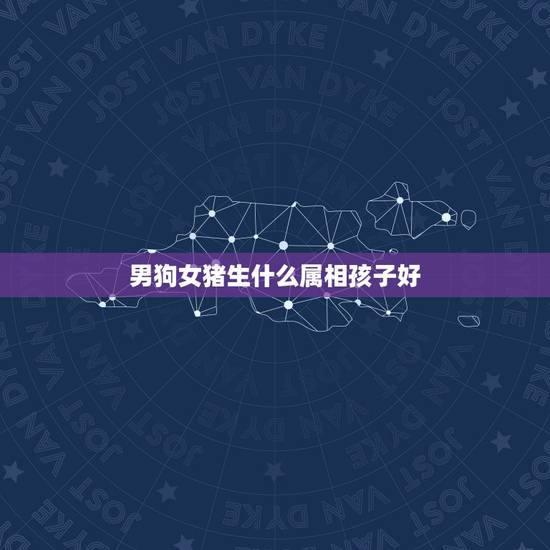 男狗女猪生什么属相孩子好，属猪和属狗的夫妻生什么属相的孩子好