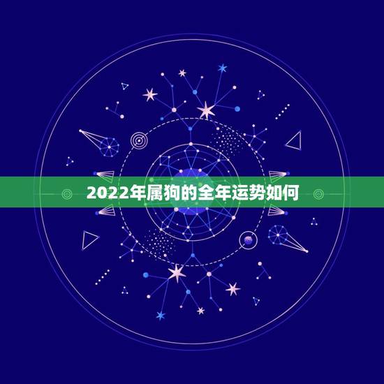 2022年属狗的全年运势如何,1982属狗2022 最危险的一个月 2022年属狗的全年运势如何,1982属狗2022 最危险的一个月