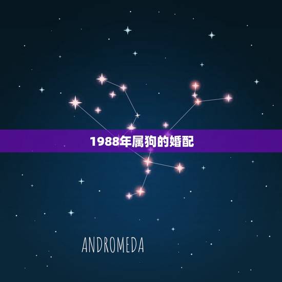 1988年属狗的婚配,1988年属龙男,和1994年属狗女,婚配好吗, 1988年属狗的婚配,1988年属龙男,和1994年属狗女,婚配好吗,