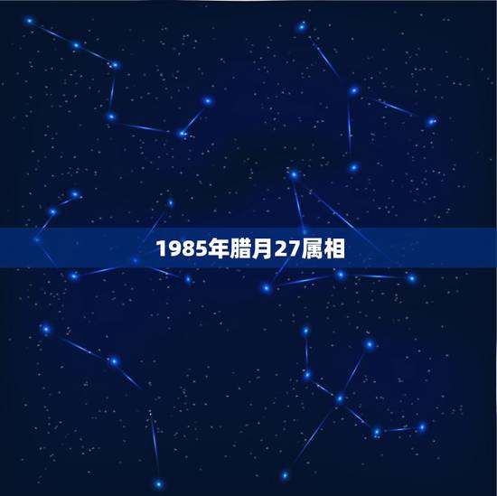 1985年腊月27属相，1986年的男虎2023年农历腊月二十八结婚。