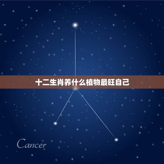 十二生肖养什么植物最旺自己，十二生肖养什么植物最旺自己的财运