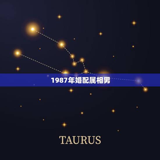 1987年婚配属相男，1987年属兔男和1991属羊女婚配