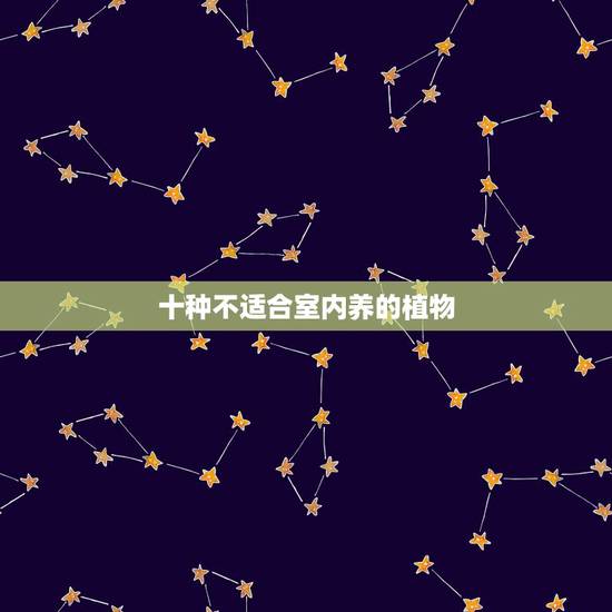 十种不适合室内养的植物,不适合适合室内养的植物有哪些 十种不适合室内养的植物,不适合适合室内养的植物有哪些
