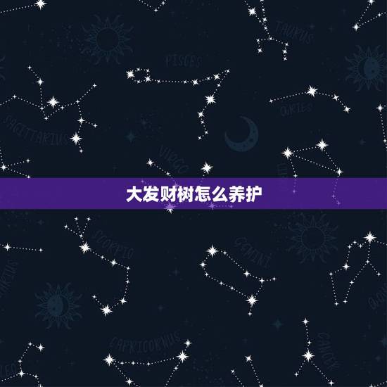 大发财树怎么养护,发财树需要如何养护呢? 大发财树怎么养护,发财树需要如何养护呢?