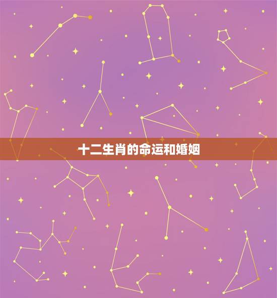 十二生肖的命运和婚姻,十二生肖配对婚姻准吗? 十二生肖的命运和婚姻,十二生肖配对婚姻准吗?