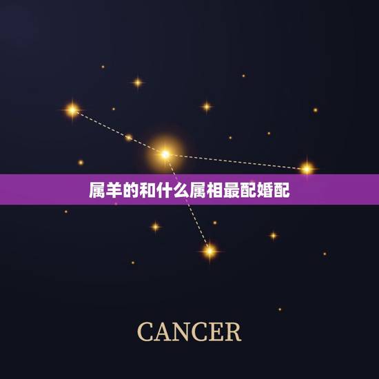 属羊的和什么属相最配婚配，属羊人婚配大吉属相是哪些