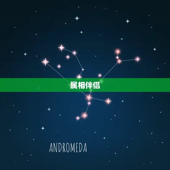 属相伴侣 属相伴侣