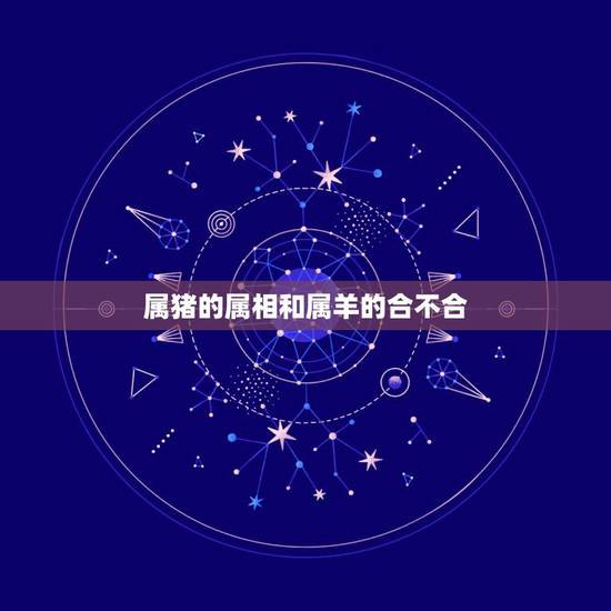 属猪的属相和属羊的合不合，属猪和属羊合不合财神