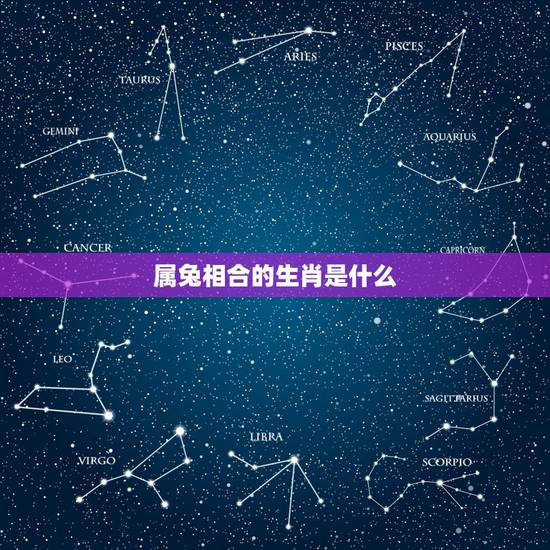 属兔相合的生肖是什么,属兔和哪个属相最合 属兔相合的生肖是什么,属兔和哪个属相最合