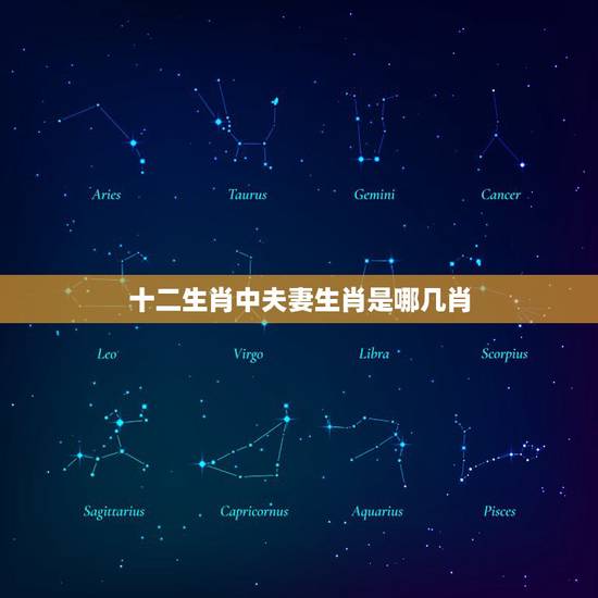 十二生肖中夫妻生肖是哪几肖，十二生肖中什么生肖结婚最般配呢？