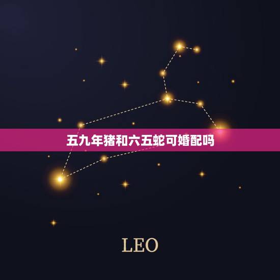 五九年猪和六五蛇可婚配吗,属蛇和属猪相配吗? 五九年猪和六五蛇可婚配吗,属蛇和属猪相配吗?