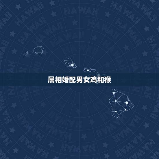 属相婚配男女鸡和猴,属相婚配猴和鸡 属相婚配男女鸡和猴,属相婚配猴和鸡