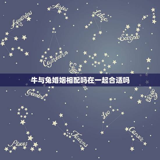 牛与兔婚姻相配吗在一起合适吗，马和狗属相合不合