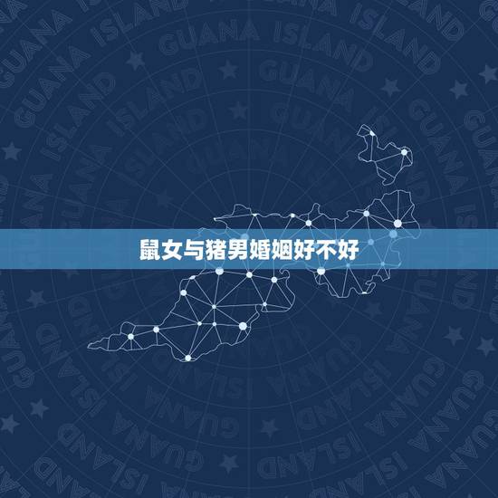 鼠女与猪男婚姻好不好，请问男猪和女鼠相配吗