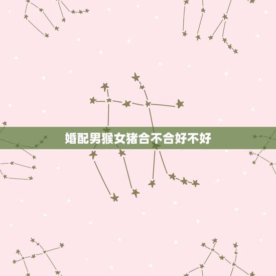 婚配男猴女猪合不合好不好，男猴女猪相配吗