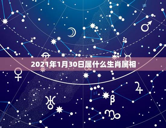 2021年1月30日属什么生肖属相，阳历2021年1月出生身份证上是什