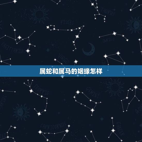 属蛇和属马的姻缘怎样，男蛇女马婚姻是上等配