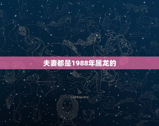 夫妻都是1988年属龙的，生肖年份对照表